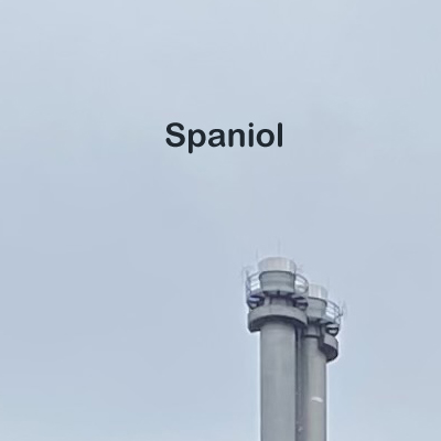 Spaniol