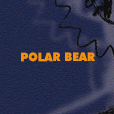 polar bear dim lit