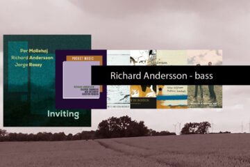 Richard Andersson Bassplayer Denmark