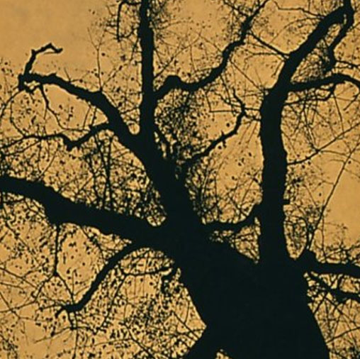 Gunter Hampel Heartplants Gunter Hampel Heartplants