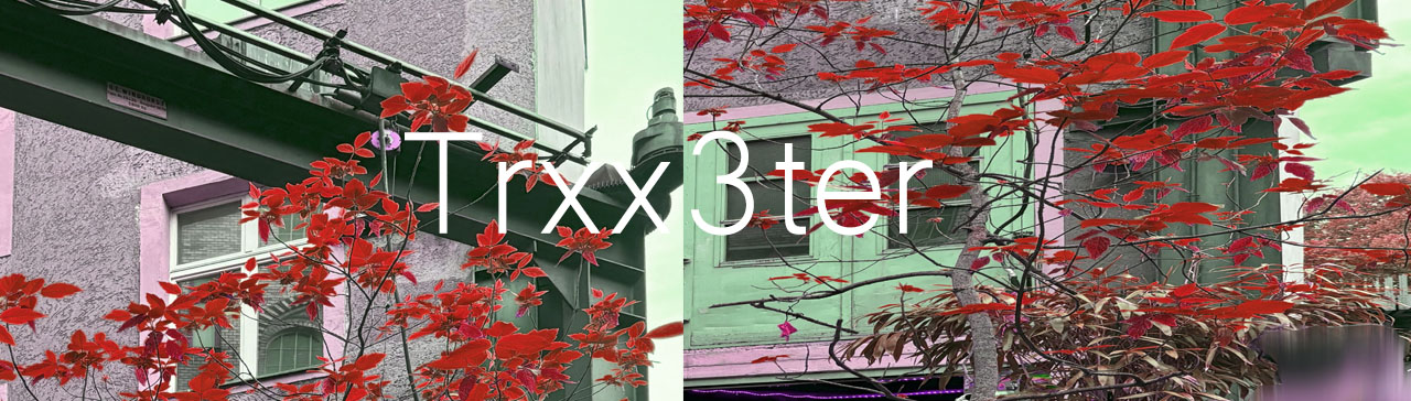 Trxxx3ter / Trixxxter