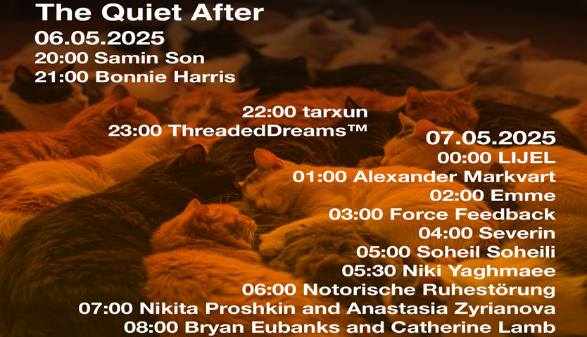 Beneath the Shadows: The Quiet After Beneath the Shadows: The Quiet After