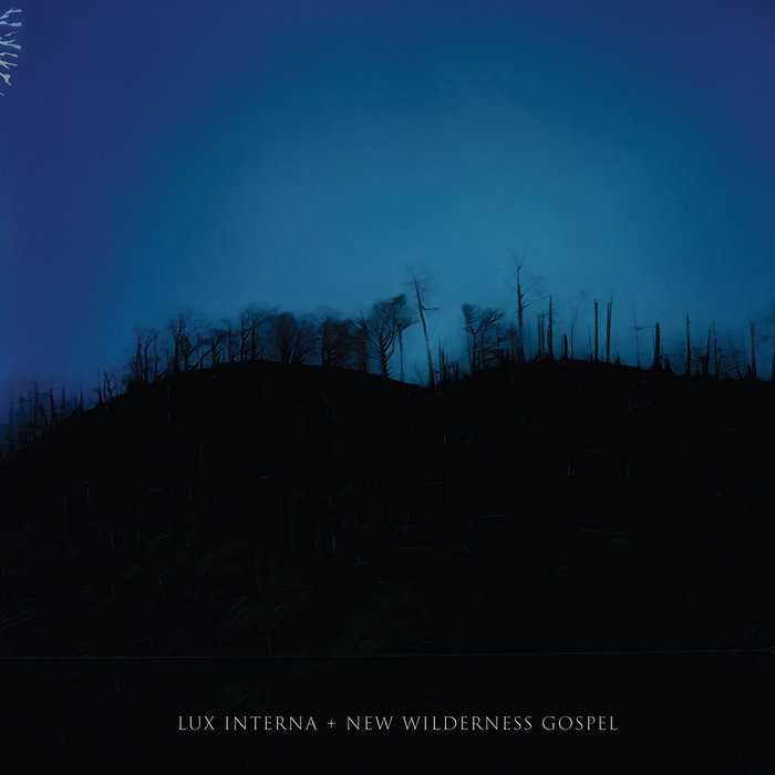 Lux Interna – New Wilderness Gospel: A Liturgical Performance in Word and Sound